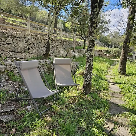 Domaine De Bagard * Sauve